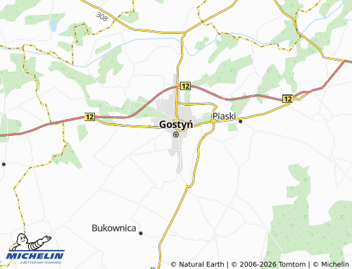Carte MICHELIN Gostyń - ViaMichelin