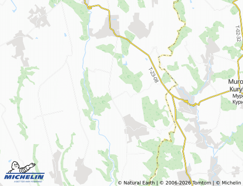 MICHELIN Stavchany map - ViaMichelin