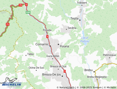 MICHELIN Poiana map - ViaMichelin