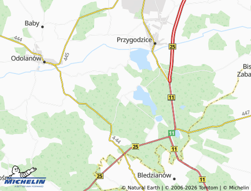Carte MICHELIN Dębnica - ViaMichelin