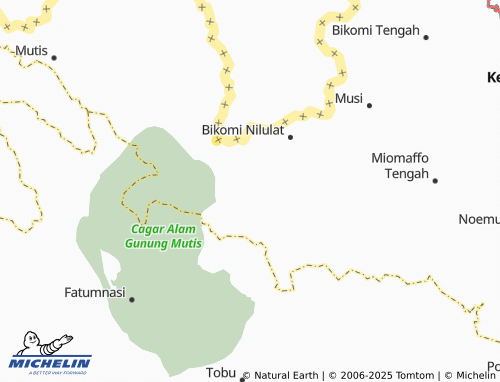 MICHELIN Saenam map - ViaMichelin