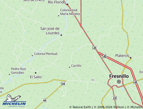Mappa MICHELIN Nuevo Zaragoza - ViaMichelin
