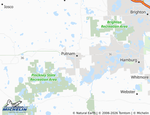 Mappa MICHELIN Pinckney - ViaMichelin