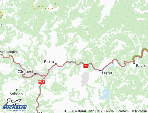 MICHELIN Gănești map - ViaMichelin