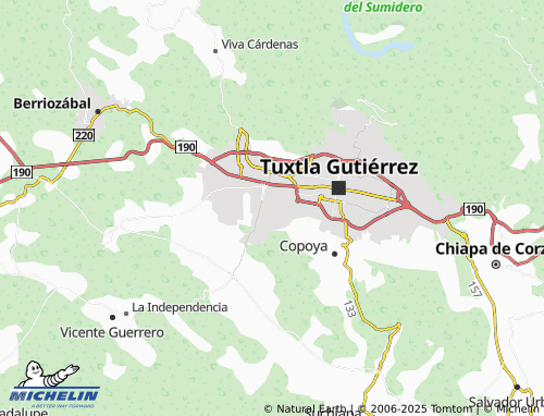 MICHELIN Puente Buena Vista map - ViaMichelin