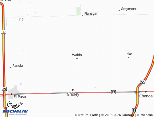 Mappa MICHELIN Waldo - ViaMichelin
