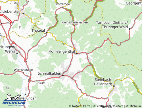 MICHELIN Reichenbach map - ViaMichelin