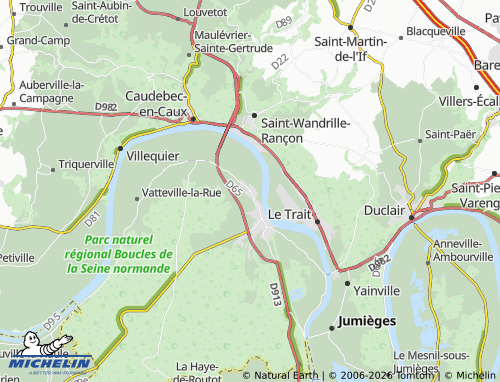 Carte MICHELIN Notre-Dame-de-Bliquetuit - ViaMichelin