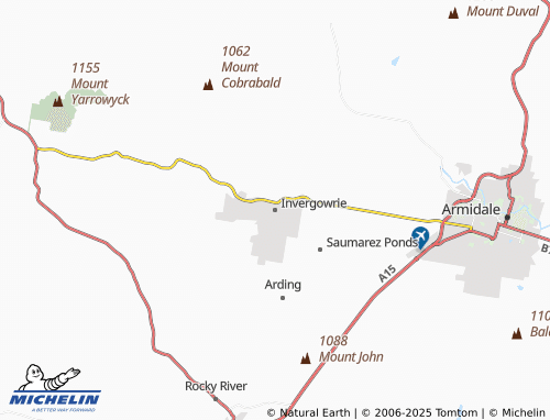 MICHELIN Invergowrie map - ViaMichelin