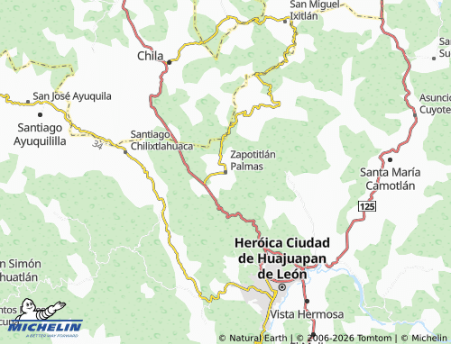 MICHELIN Zapotitlán Palmas map - ViaMichelin