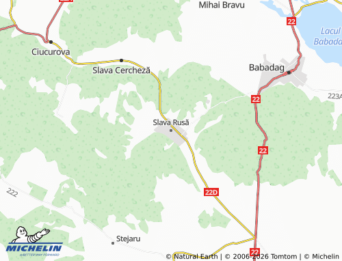 Carte MICHELIN Slava Rusă - ViaMichelin
