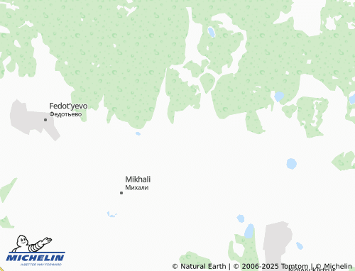 MICHELIN Novoye Tonino map - ViaMichelin