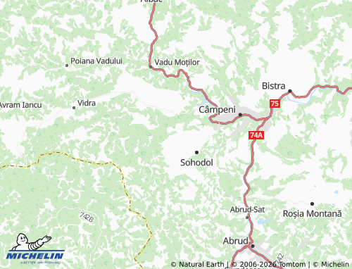 MICHELIN Sebișești map - ViaMichelin