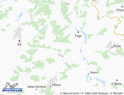 MICHELIN Puini map - ViaMichelin