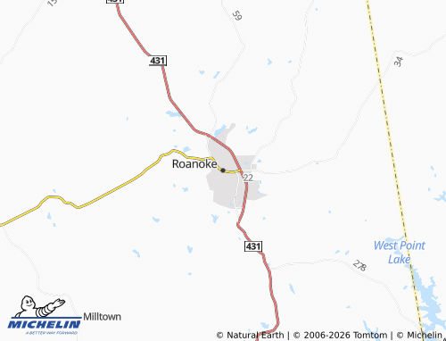 Carte MICHELIN Roanoke - ViaMichelin