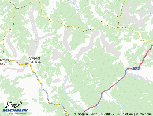MICHELIN Novoselytsia map - ViaMichelin