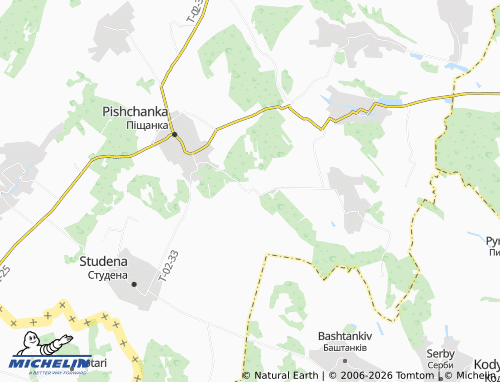 MICHELIN Brokhvychi map - ViaMichelin
