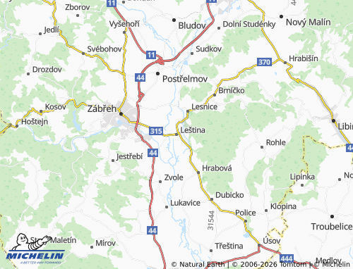 Mappa MICHELIN Leština - ViaMichelin
