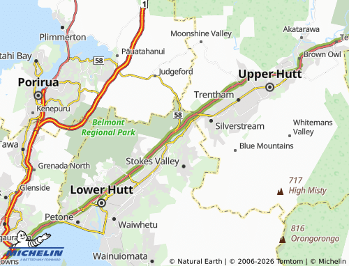 Mapa MICHELIN Manor Park - ViaMichelin