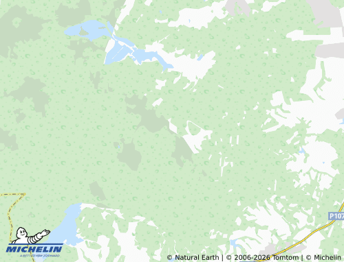 Carte MICHELIN Vygol' - ViaMichelin