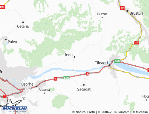 MICHELIN Ineu map - ViaMichelin