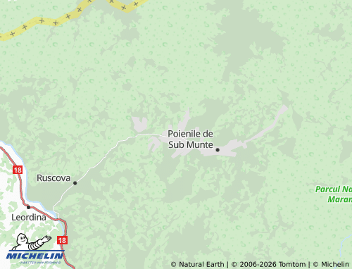 Carte MICHELIN Repedea - ViaMichelin