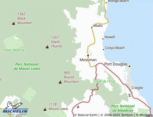 MICHELIN Finlayvale map - ViaMichelin