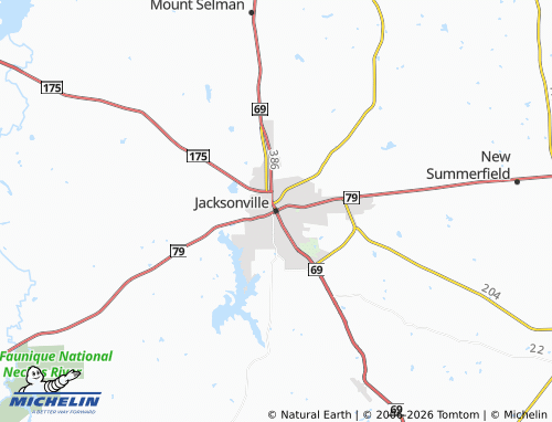 Mappa MICHELIN Jacksonville - ViaMichelin