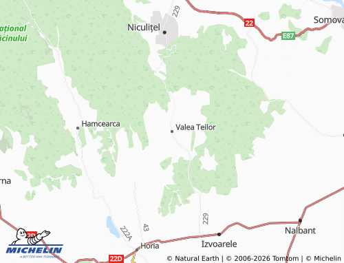 MICHELIN Valea Teilor map - ViaMichelin