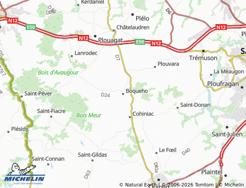 Mapa MICHELIN Boqueho - ViaMichelin