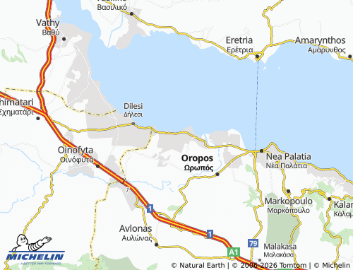 Mapa MICHELIN Chalkoytsi - ViaMichelin