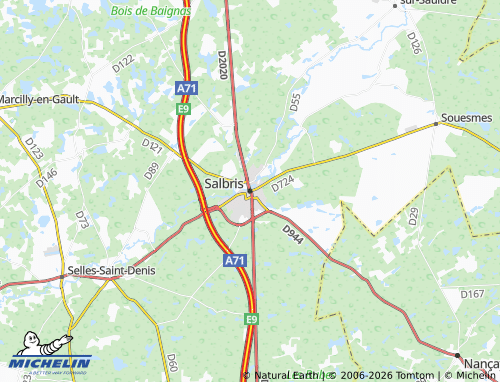 Carte MICHELIN Salbris - ViaMichelin