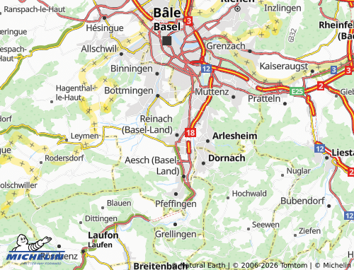 Carte MICHELIN Reinach (Basel-Land) - ViaMichelin