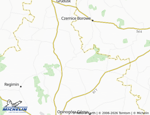Carte MICHELIN Koziczyn - ViaMichelin