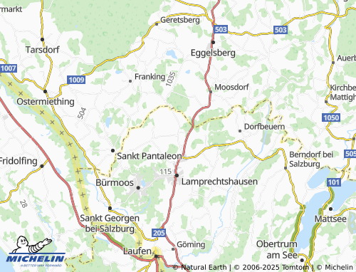 MICHELIN-Landkarte Maxdorf - ViaMichelin