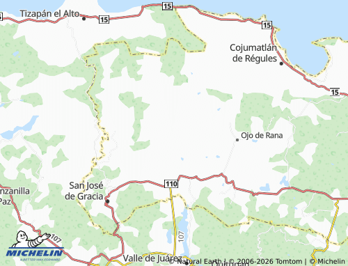 Mapa MICHELIN San Miguel - ViaMichelin