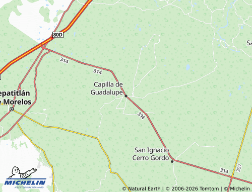 MICHELIN-Landkarte Capilla de Guadalupe - ViaMichelin