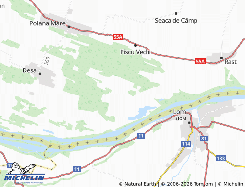 MICHELIN Pisculeț map - ViaMichelin