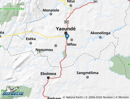 Mappa MICHELIN Nyong-et-So'o - ViaMichelin