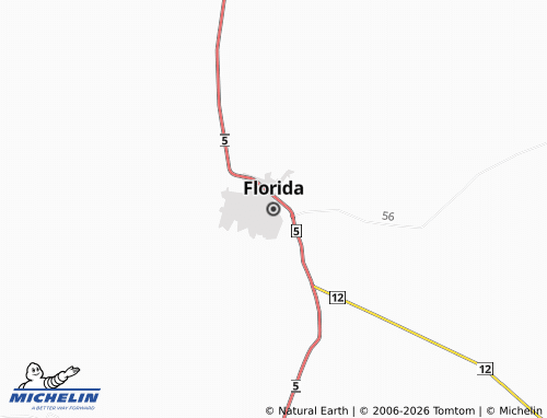 MICHELIN-Landkarte Florida - ViaMichelin