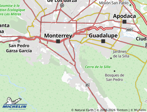 Carte MICHELIN Rincón del Contry - ViaMichelin