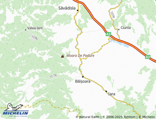 Mappa MICHELIN Săcel - ViaMichelin