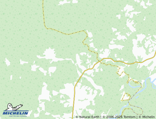 MICHELIN-Landkarte Grishino - ViaMichelin