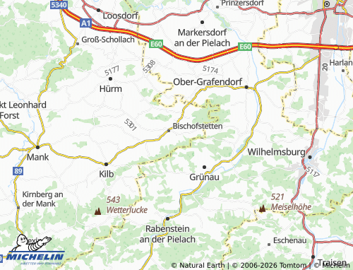 MICHELIN Neubing map - ViaMichelin