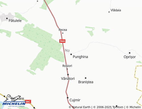 MICHELIN Punghina map - ViaMichelin