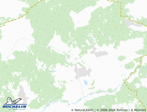 Carte MICHELIN Borshchevo - ViaMichelin