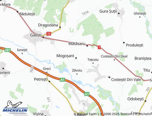 MICHELIN Mogoșani map - ViaMichelin