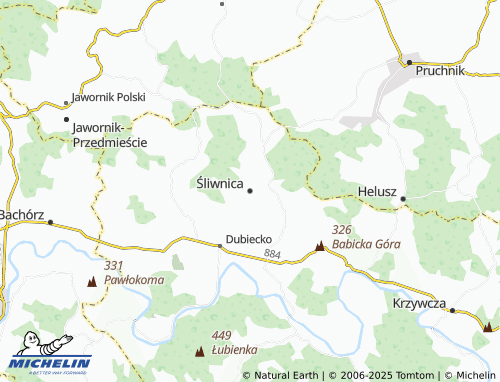 MICHELIN Śliwnica map - ViaMichelin