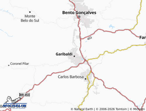 Mapa MICHELIN Centro - ViaMichelin