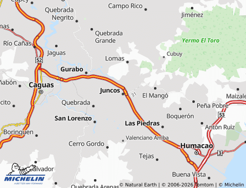 Mappa MICHELIN Juncos - ViaMichelin
